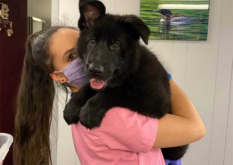 Carousel Slide 7: Join our team!