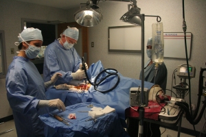 In Surgery